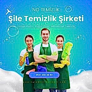 Şile Temizlik Şirketi Ev ve İş Yeri Temizliği.jpg